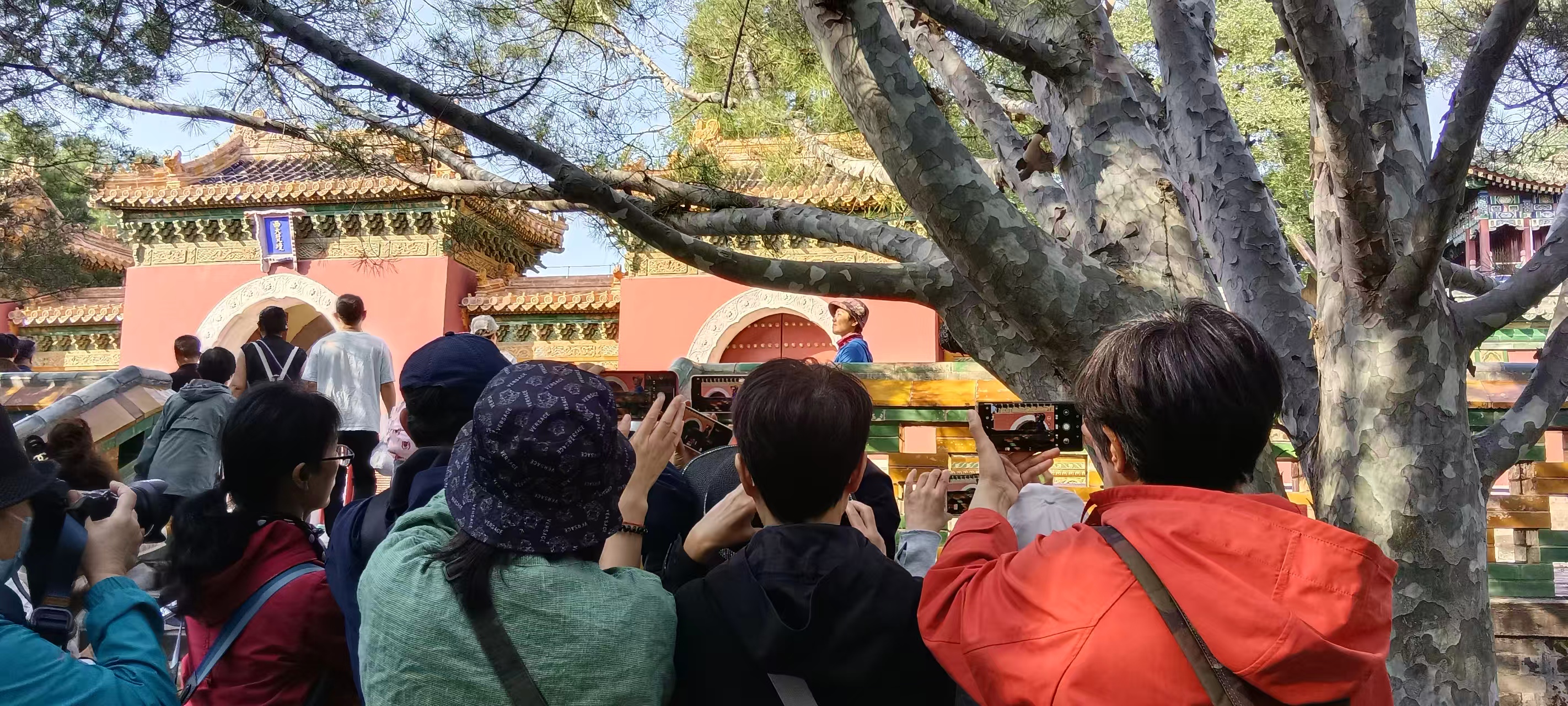 1760687697292002042.jpg 微信图片_20251016100117.jpg