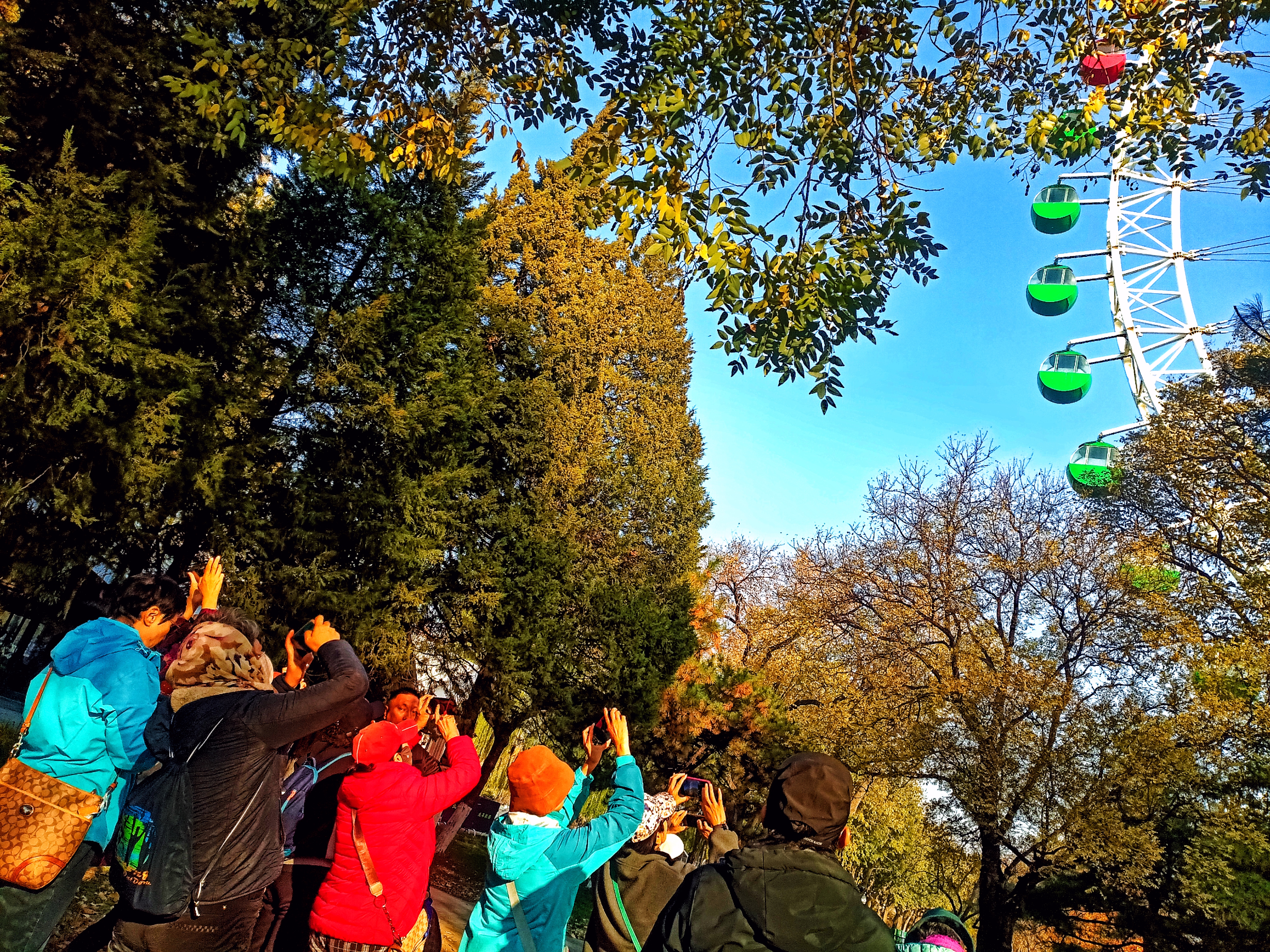 1763020586171000520.jpg 微信图片_20251113144714.jpg